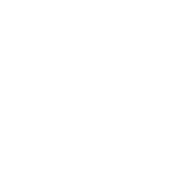 Regular Penetration Tests